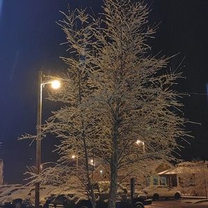 Meet your Posher, Helen